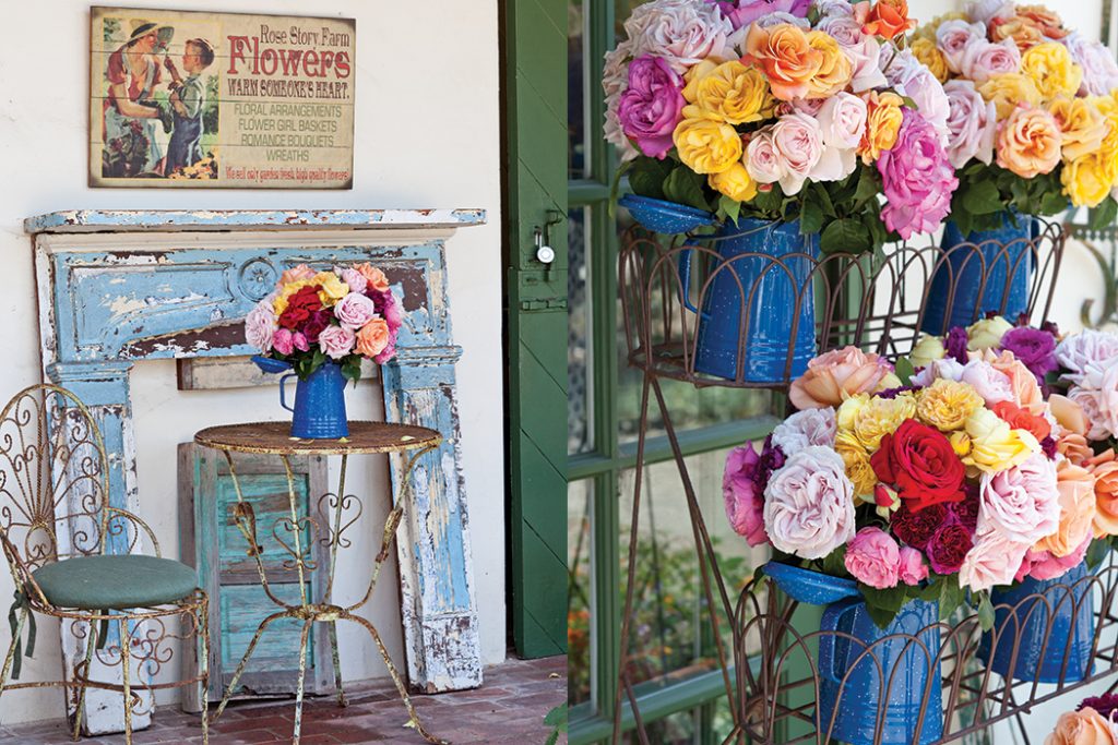RoseStoryFarm4