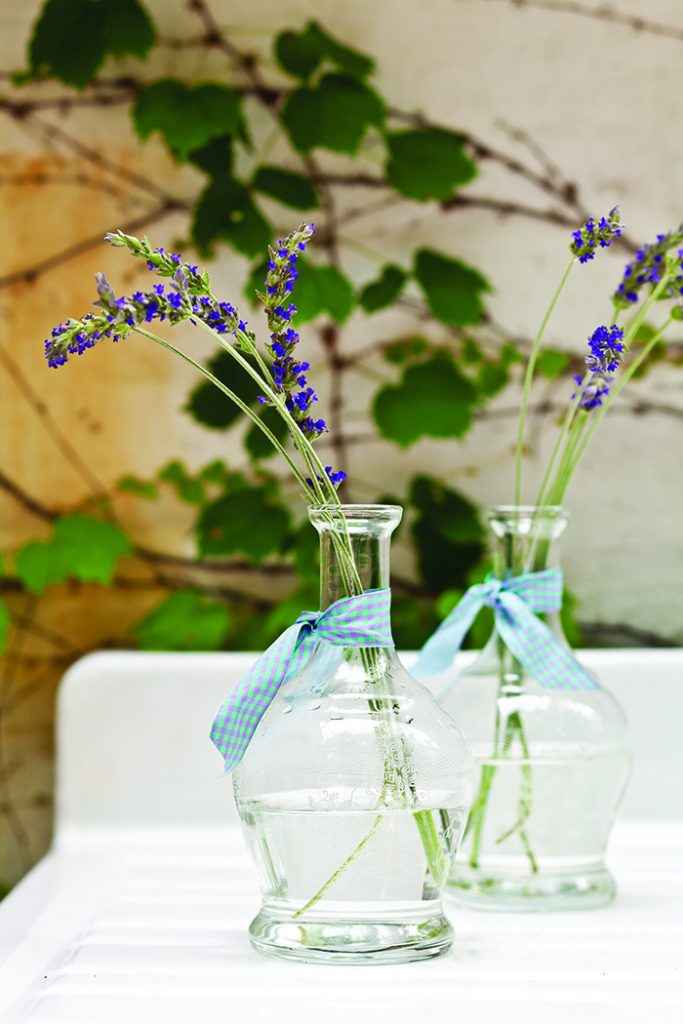 lavender stems