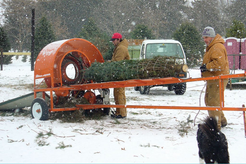 Howell-loading-tree-i-snow