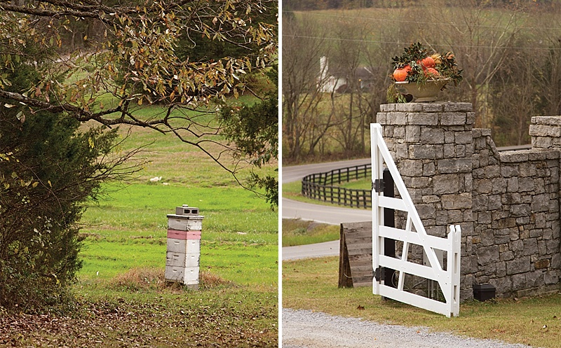 Finding Her Niche at Bloomsbury Farm