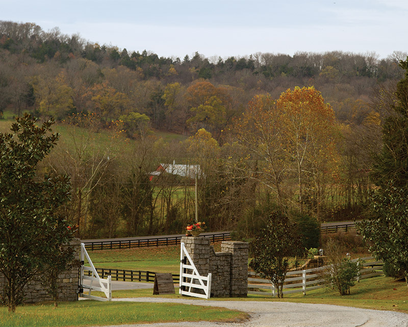 Finding Her Niche at Bloomsbury Farm