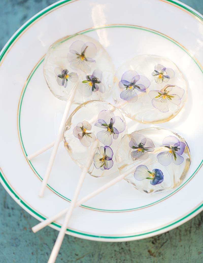 Violet lollipops