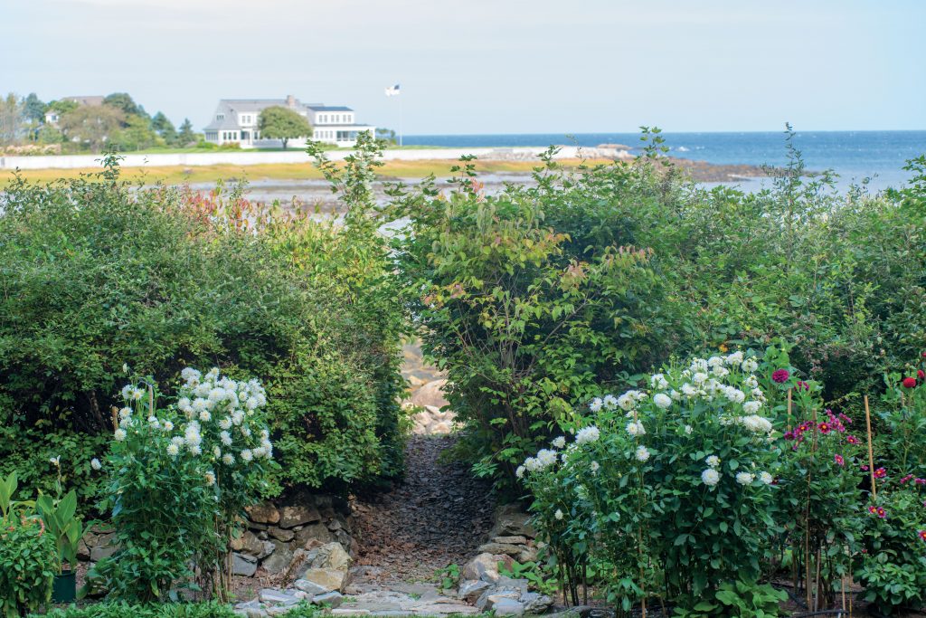 An Oceanside Garden Decked with Dahlias