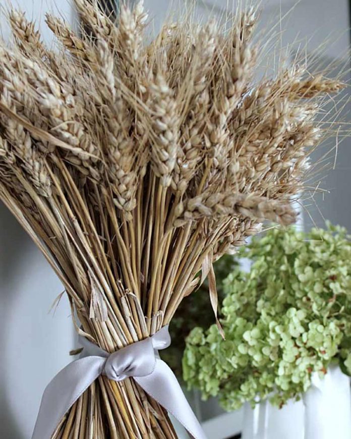 autumn decor - wheat sheaves