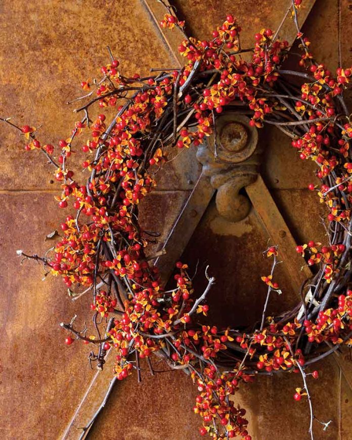 autumn decor - wreath of berries