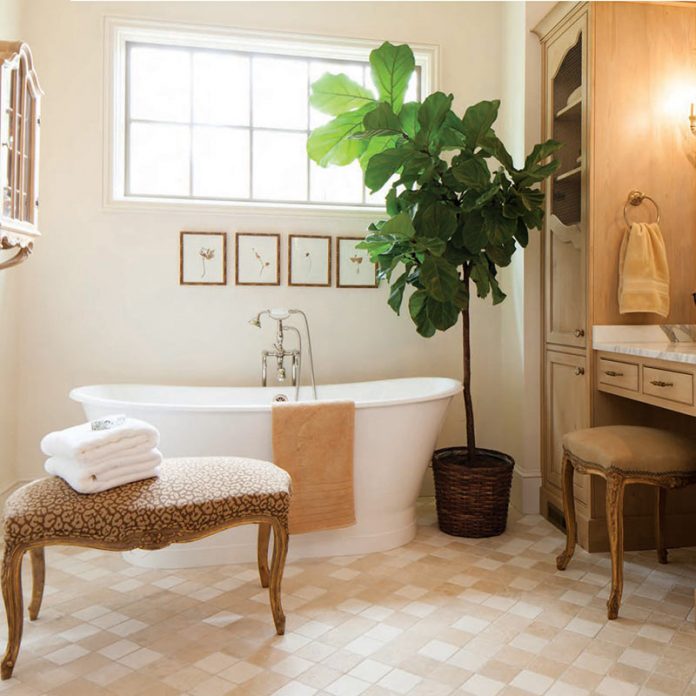 serene bathroom with large soaking tub