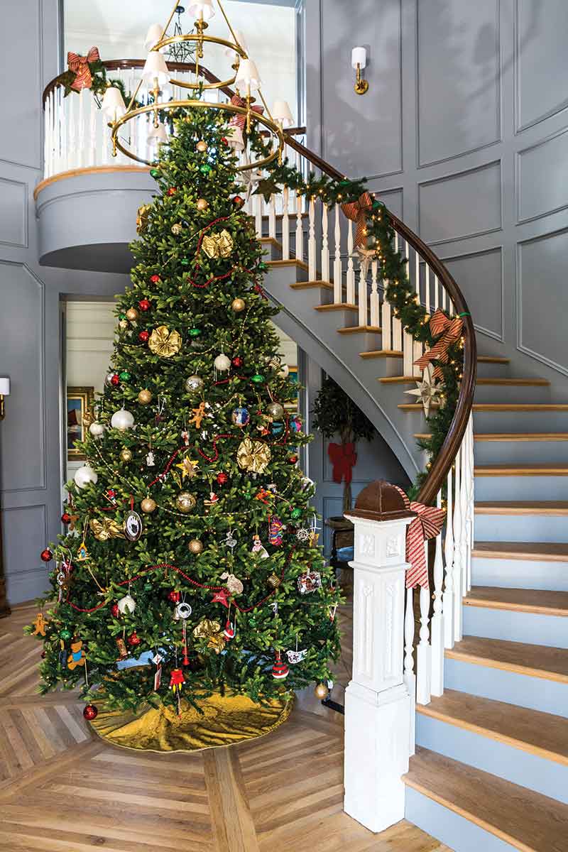 Christmas tree in entryway