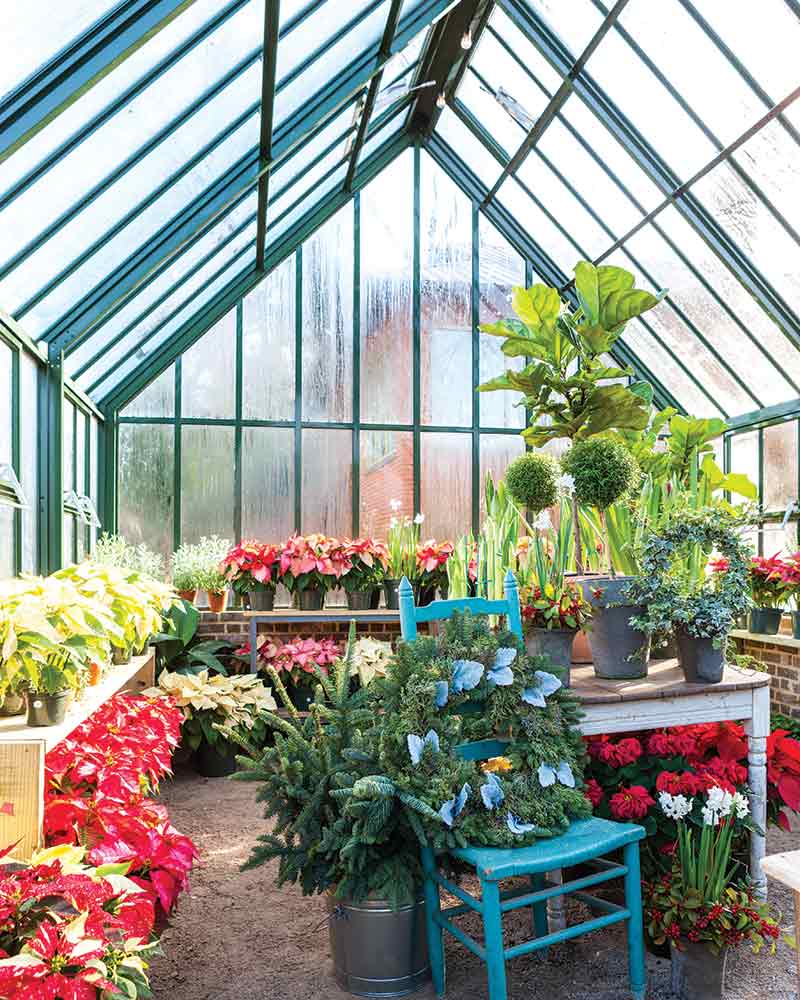 Shoppe Birmingham greenhouse