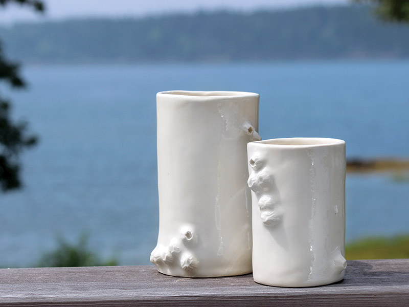 Barnacle cups