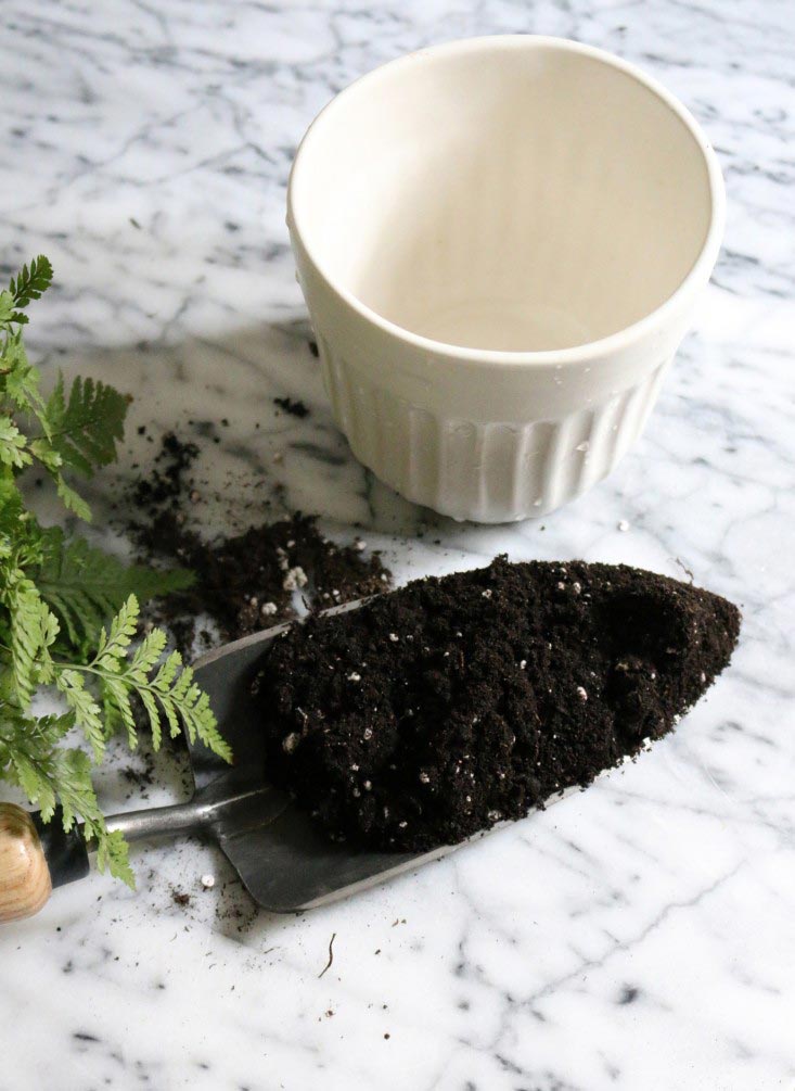 pot and potting soil