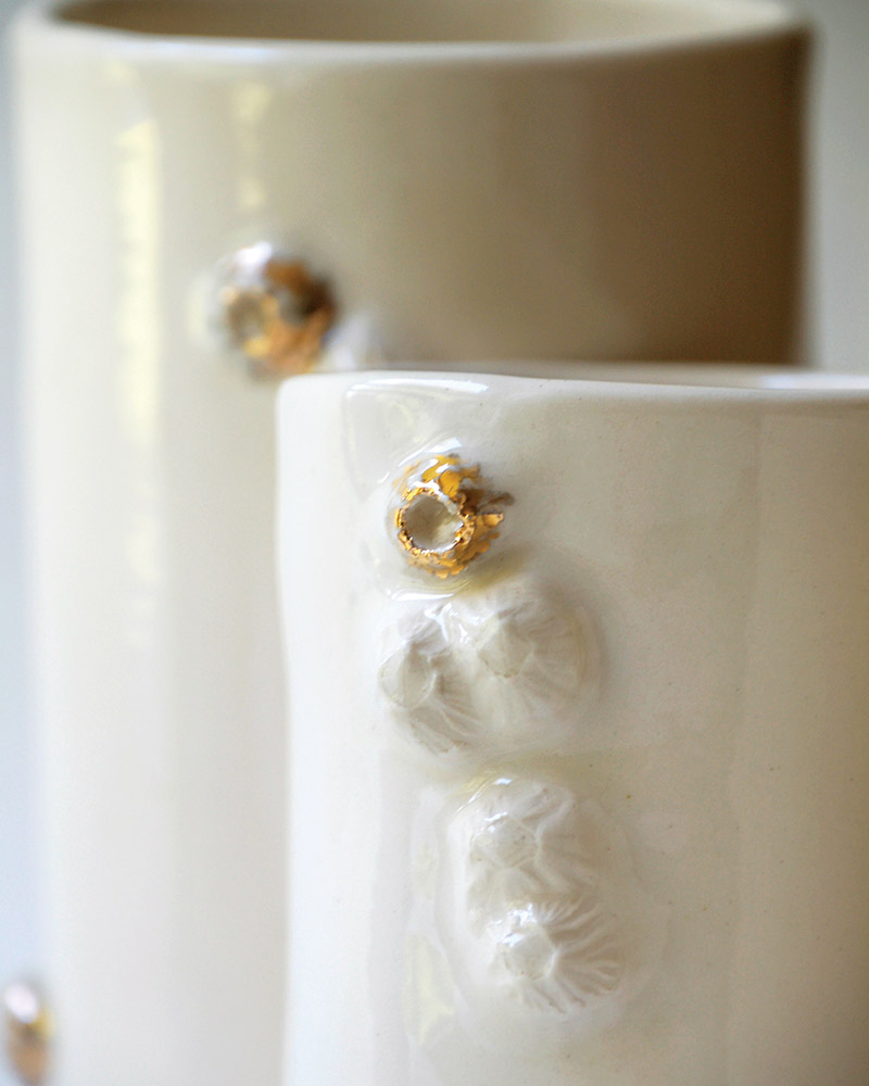 Gold barnacle cups