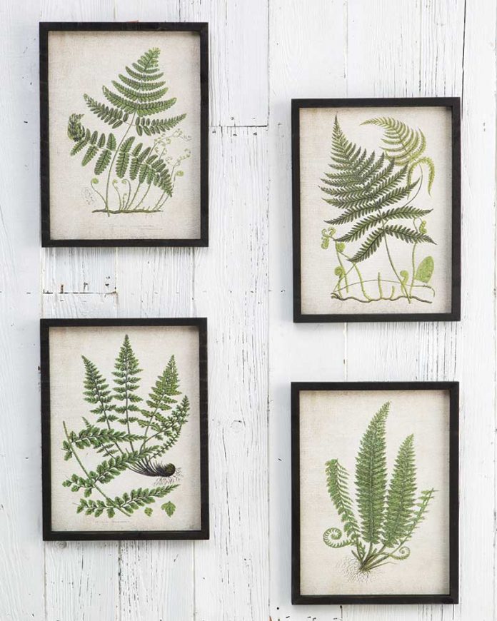 Botanical prints from World Market