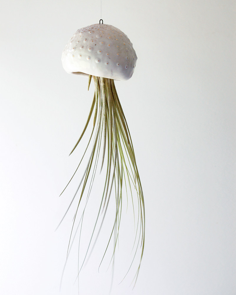 jellyfish air planter