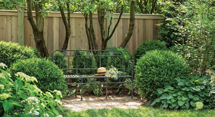 A wrought iron bench in a summer garden.