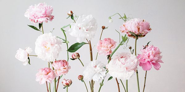 With Natural Light and Flowers as Her Muse This Artist Captures the Beauty and Joy of Nature