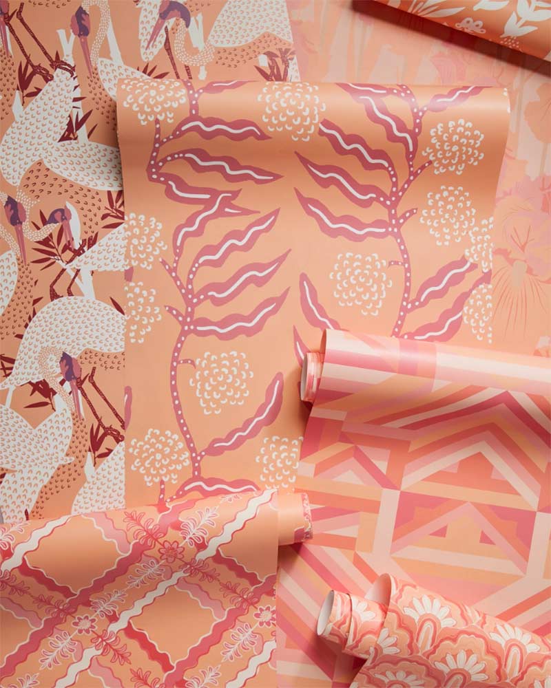 Wallpaper in Pantone's Peach Fuzz Shade. 