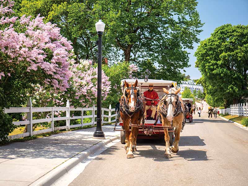 Carriage ride on Mackinac Island. 