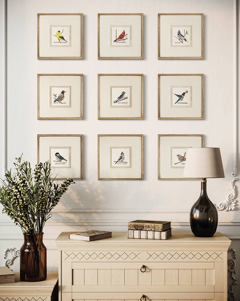 A gallery wall with nine paintings of birds.