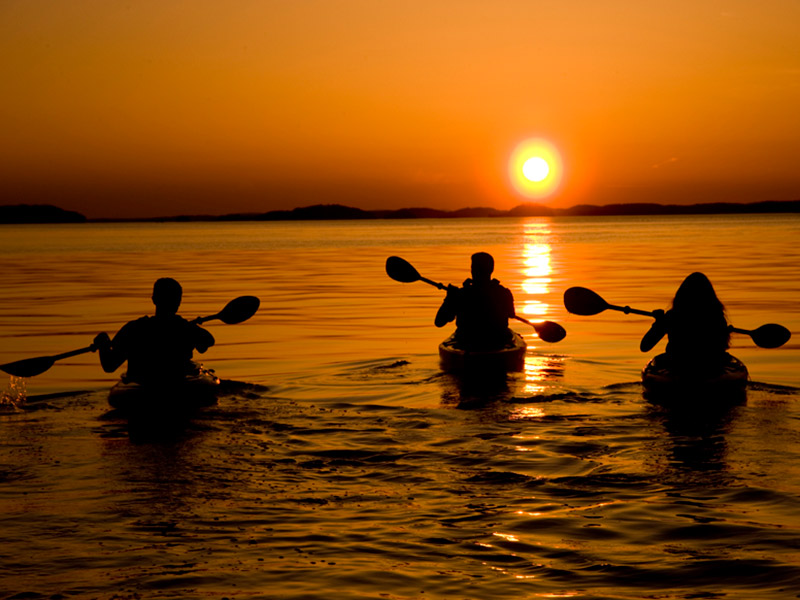 Three people kayaking in the sunset. 