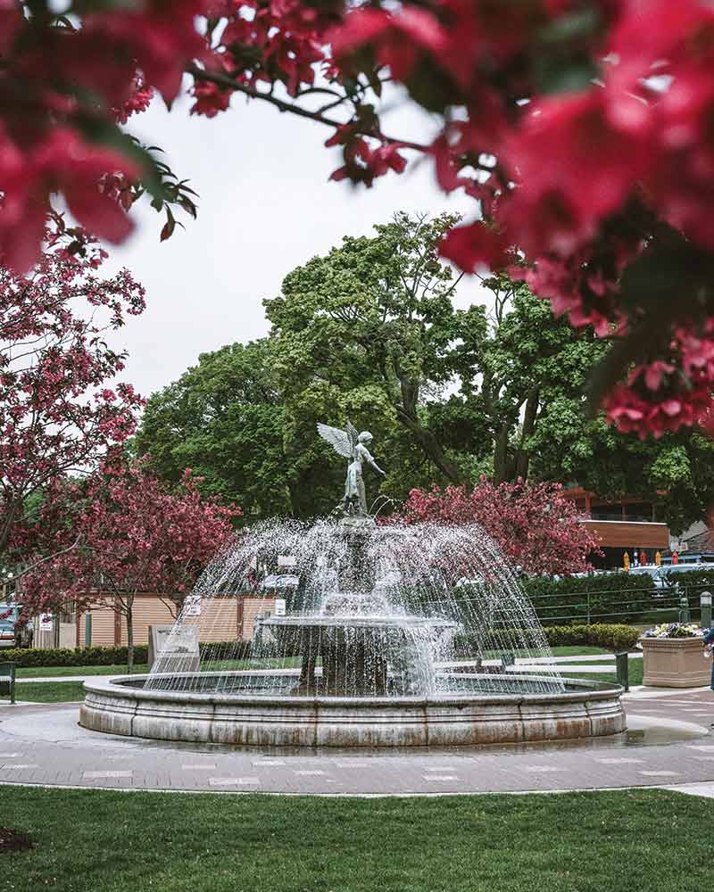 A fountain surrounded by trees in bloom.