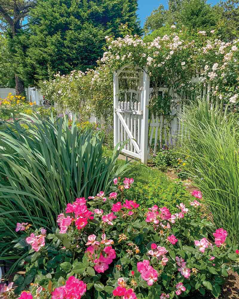 A lush garden scene featuring a white garden gate surrounded by blooming roses, other flowers, and abundant green foliage under a clear blue sky.