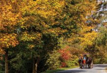 Discover the Best of West Virginia with a Scenic Autumn Road Trip Discover the Best of West Virginia with a Scenic Autumn Road Trip