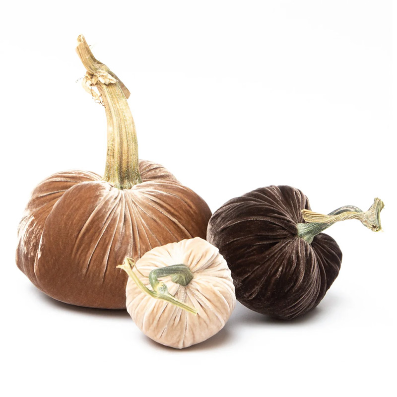 Velvet pumpkins in neutral hues.