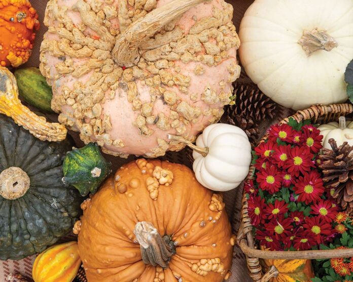 8 Enchanting Fall Front Porch Displays