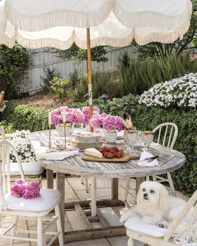 In a historic suburb in the heart of the South, where early summer welcomes the gardener with balmy affection, Lindsey Abernathy’s cottage garden has sprung to life.