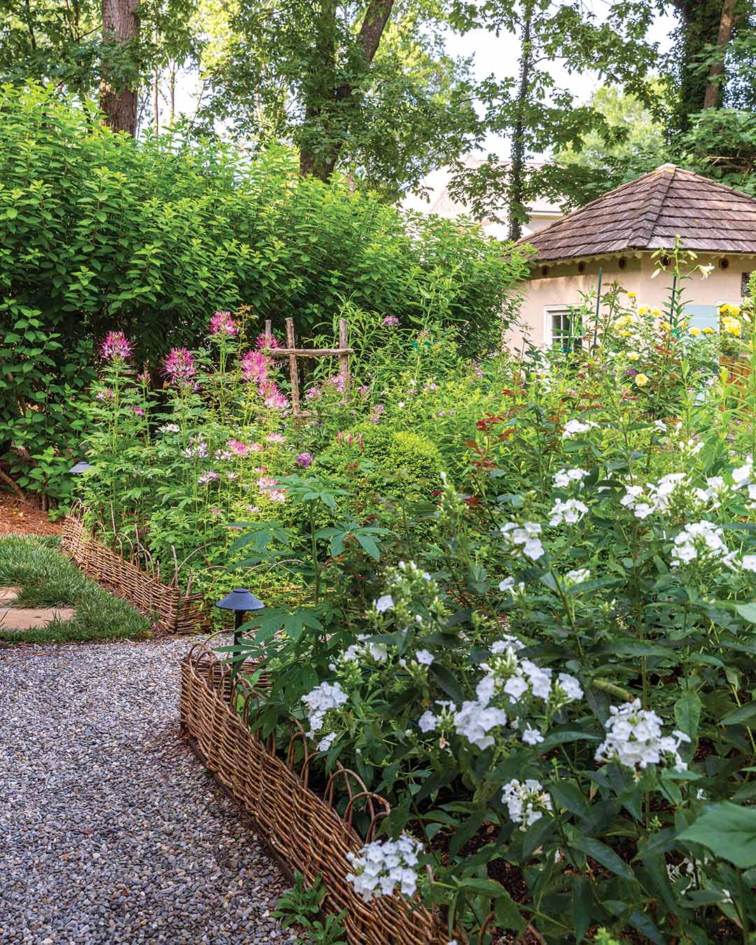 While plants vary year to year, staples in Laura’s yard include several varieties of phlox, verbena, Asian lilies, alliums, salvias, hibiscus, tree roses, and clematis.