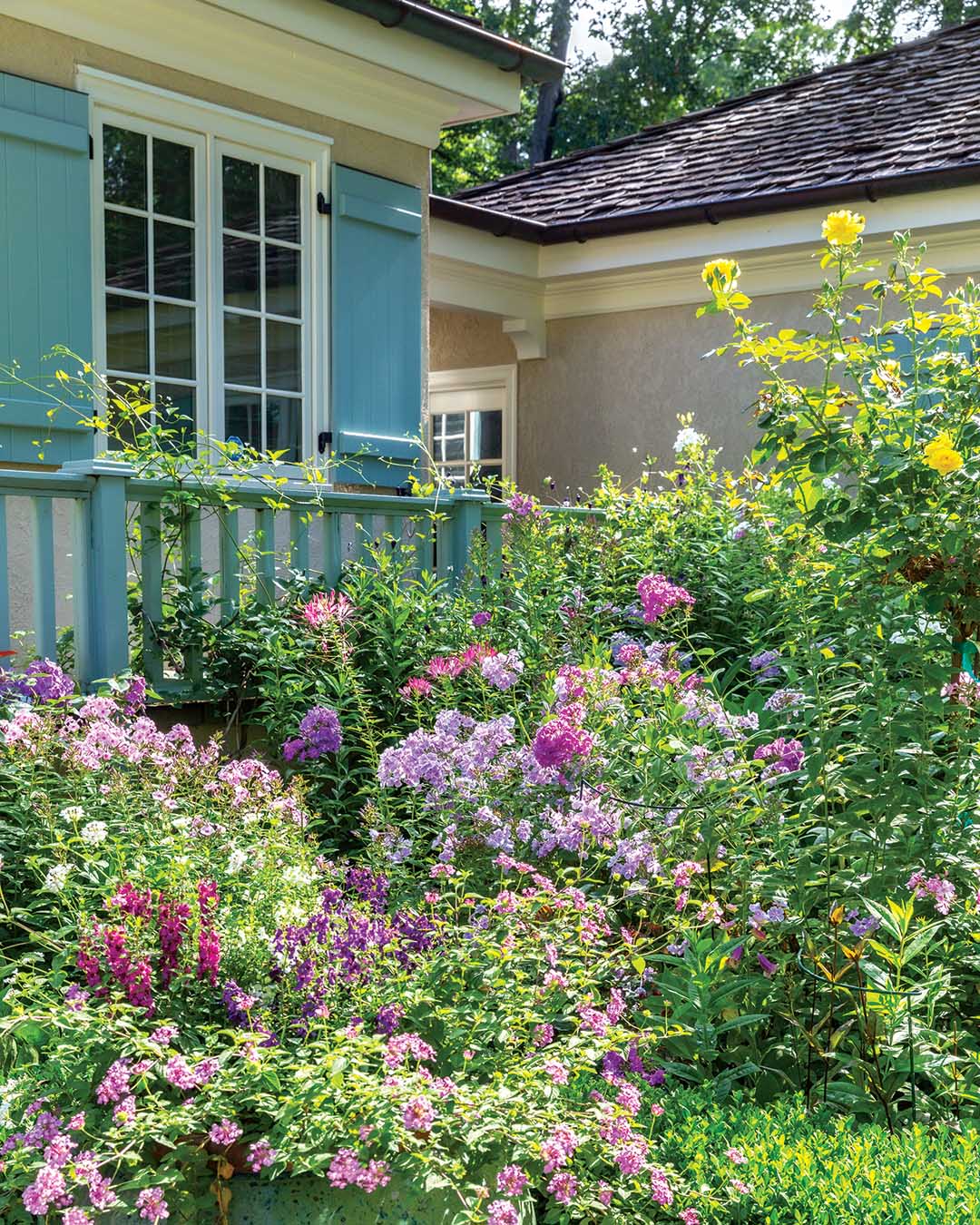 The cottage-style plot brims with interest year-round, as inviting in February as it is in May when the colors and textures are a visual feast.