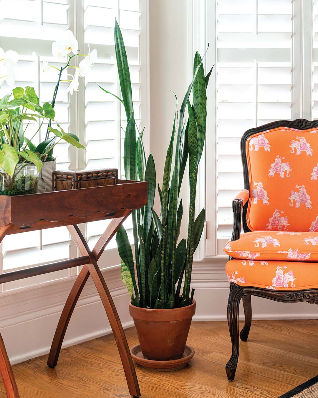A pop of color is imbued through an orange-and-pink Lilly Pulitzer fabric on chairs that belonged to Frannie’s mom.