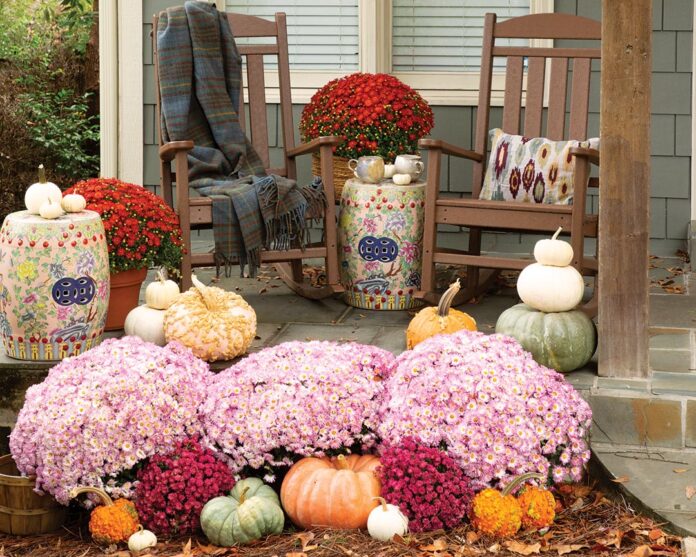 As autumn’s chill breezes in and trees shift to shades of scarlet and gold, welcome guests with a cozy, inviting porch display highlighting the season’s signature trademarks.