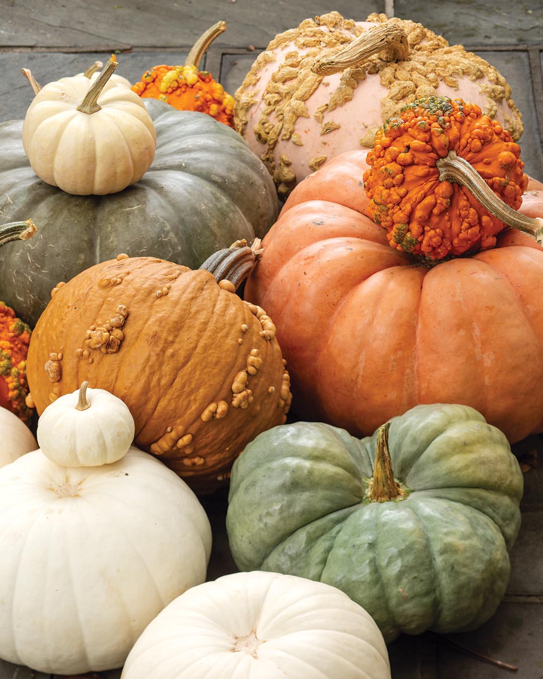 Balancing out the collection are several pumpkins imparting neutral notes of cream and gold to ground the scene.