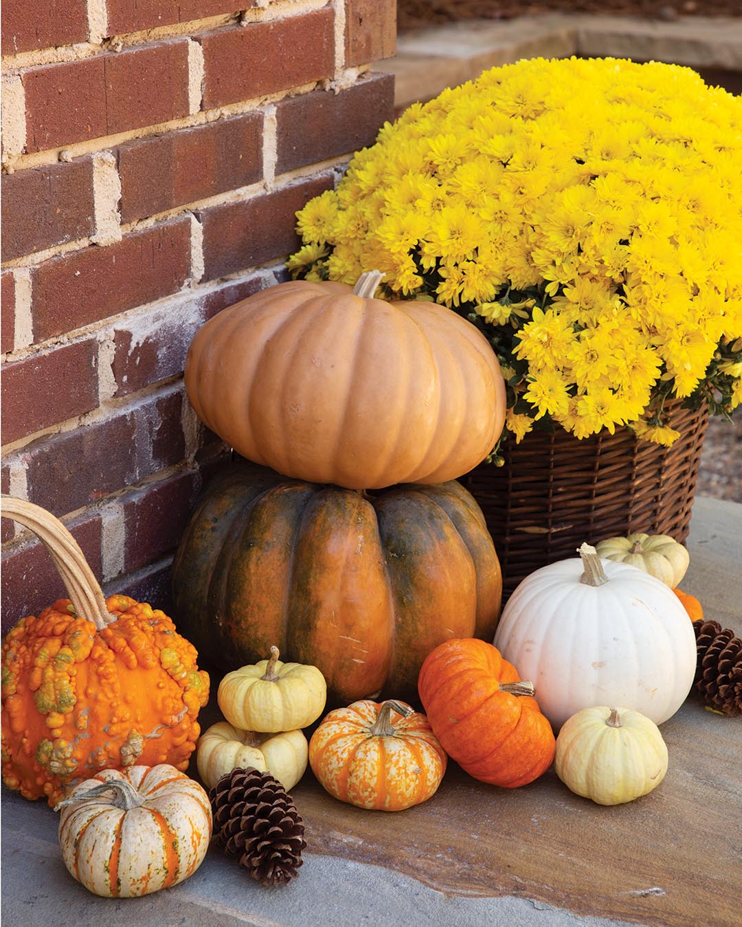 A much-needed makeover helped make the most of this small backyard, transforming it into a garden space fit for entertaining.