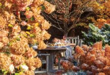 This Catskills Garden Captures the Beauty of Autumn & Beyond As a collaborative effort spanning a century, the evolution of the gardens at Wildmuir has culminated in a true celebration of the surrounding land.