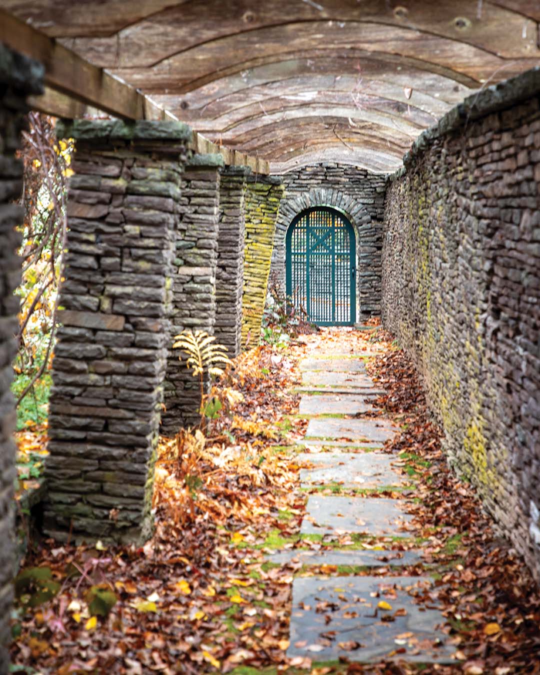 “The fieldstone pillared pergola was designed in the early 1920s by landscape architect Harold Caparn as part of a convent garden,” says Jamie.