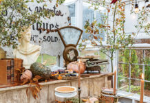 Natural Beauties & Collected Treasures Fill This Greenhouse Natural beauties and collected treasures compose an extraordinary escape just steps away from home.