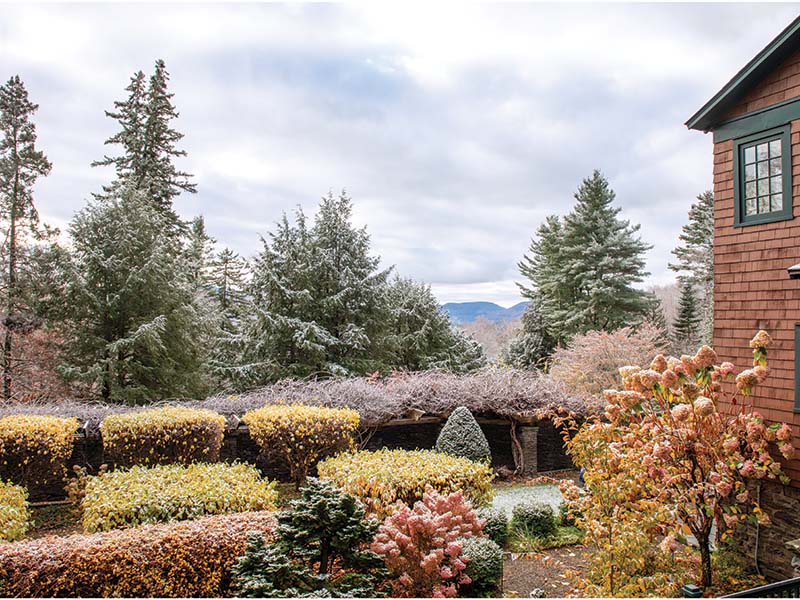 Embrace the natural fading of petals as radiant rosy and ballet slipper hues gradually give way to warm, golden amber tones that convey an aged aesthetic teeming with storied charm.