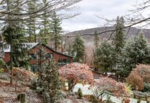 Unearth the Serene Majesty of a Wintertime Garden Unearth the serene majesty of a wintertime garden showcased amidst the stillness of the season.