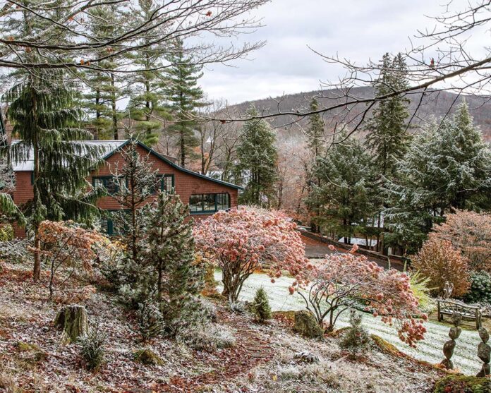 Unearth the serene majesty of a wintertime garden showcased amidst the stillness of the season.