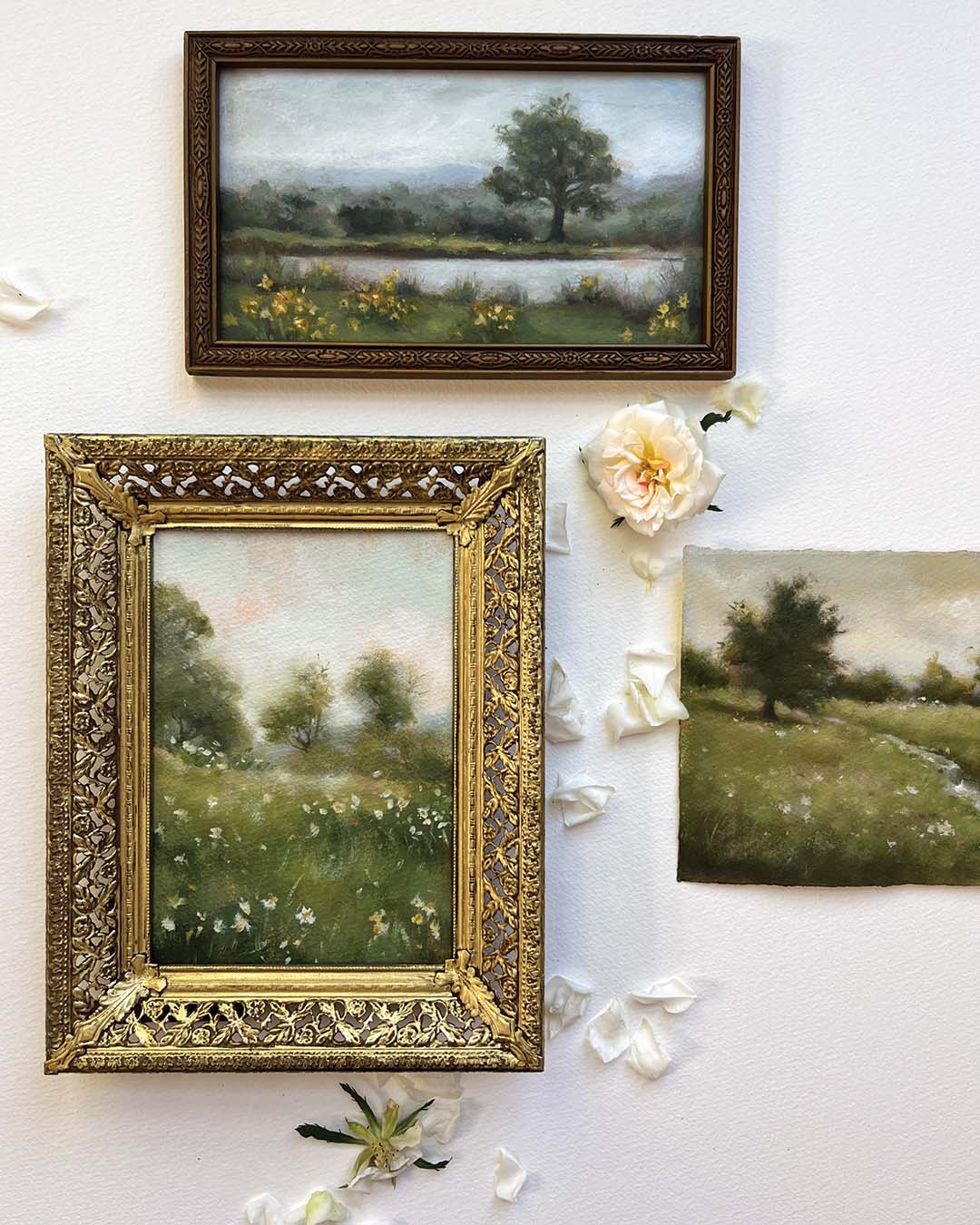 Paintings and photography by Alicia Cook, Alicia Cook Fine Art