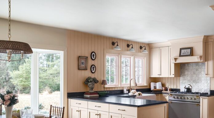 A Rosy Outlook: A Bold and Sophisticated Kitchen Transformation A Rosy Outlook: A Bold and Sophisticated Kitchen Transformation