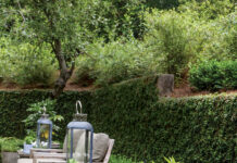 Where Beauty Leads: A Lush Southern Garden Retreat in Full Bloom