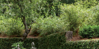 Where Beauty Leads: A Lush Southern Garden Retreat in Full Bloom