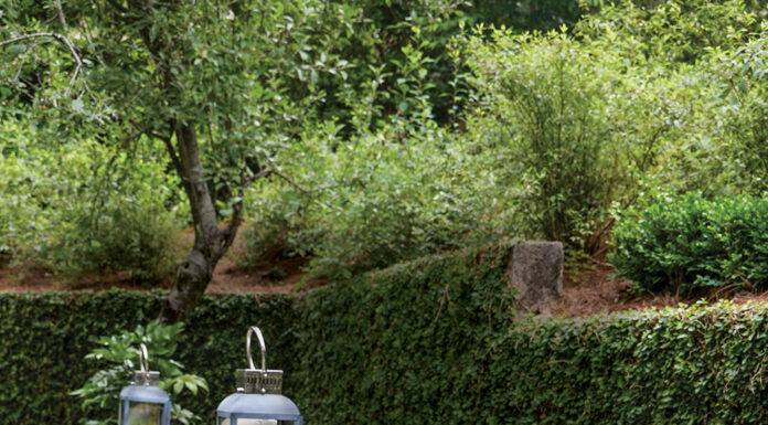 Where Beauty Leads: A Lush Southern Garden Retreat in Full Bloom