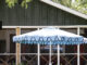 Waterfront Charm: Bring Lakeside Style Home for Summer